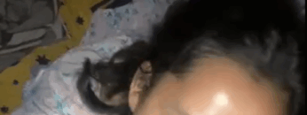 Jatah Sampai Crots Pembantu Baru