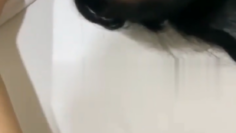 Sepongan Istri Teman